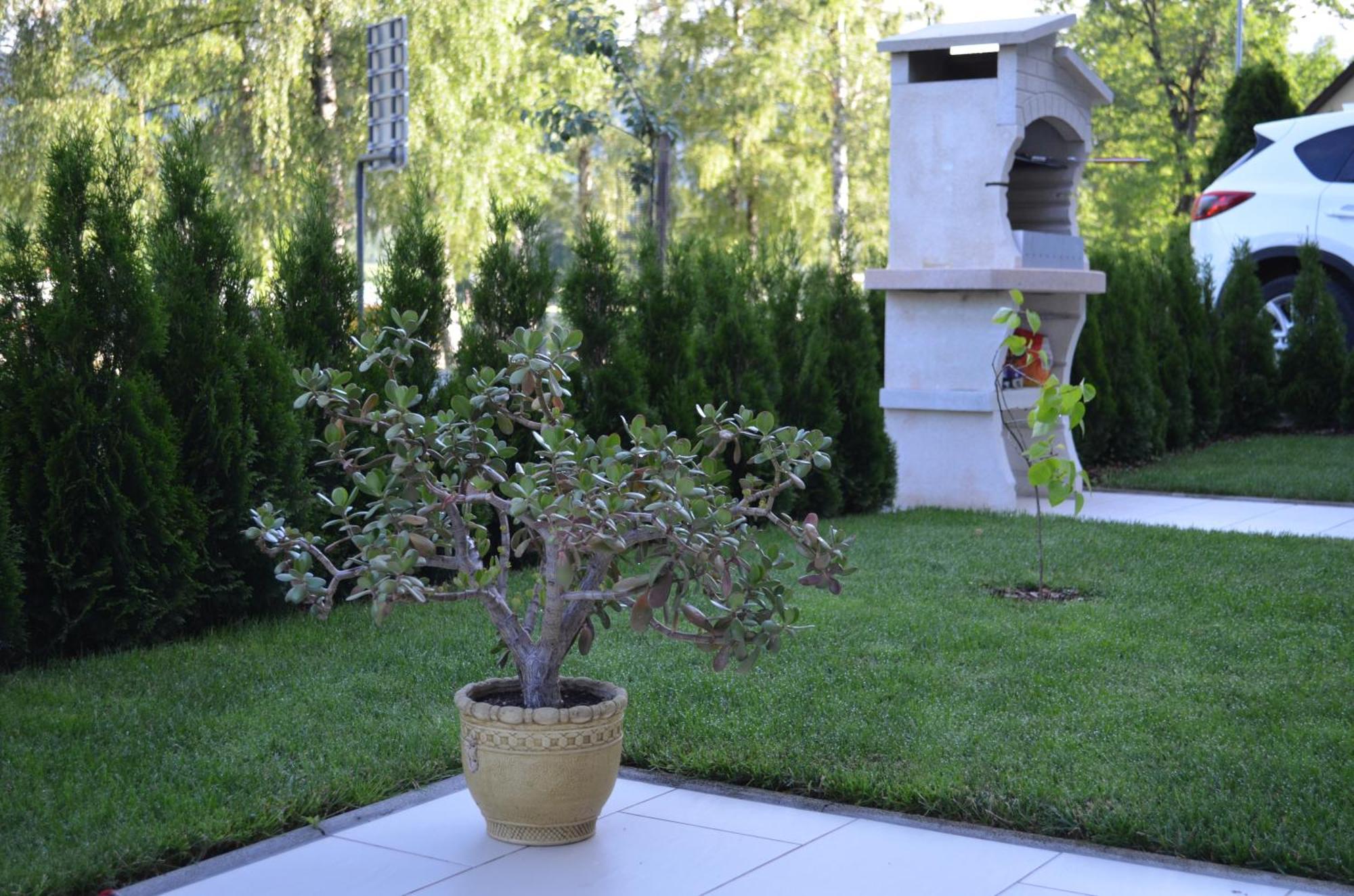 Apartments Sofija Блед Екстер'єр фото